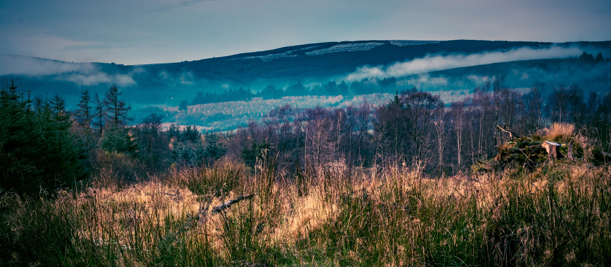 An image depicting the trail Monicknew - Bocadh Lodge Walk and its surrounding area.