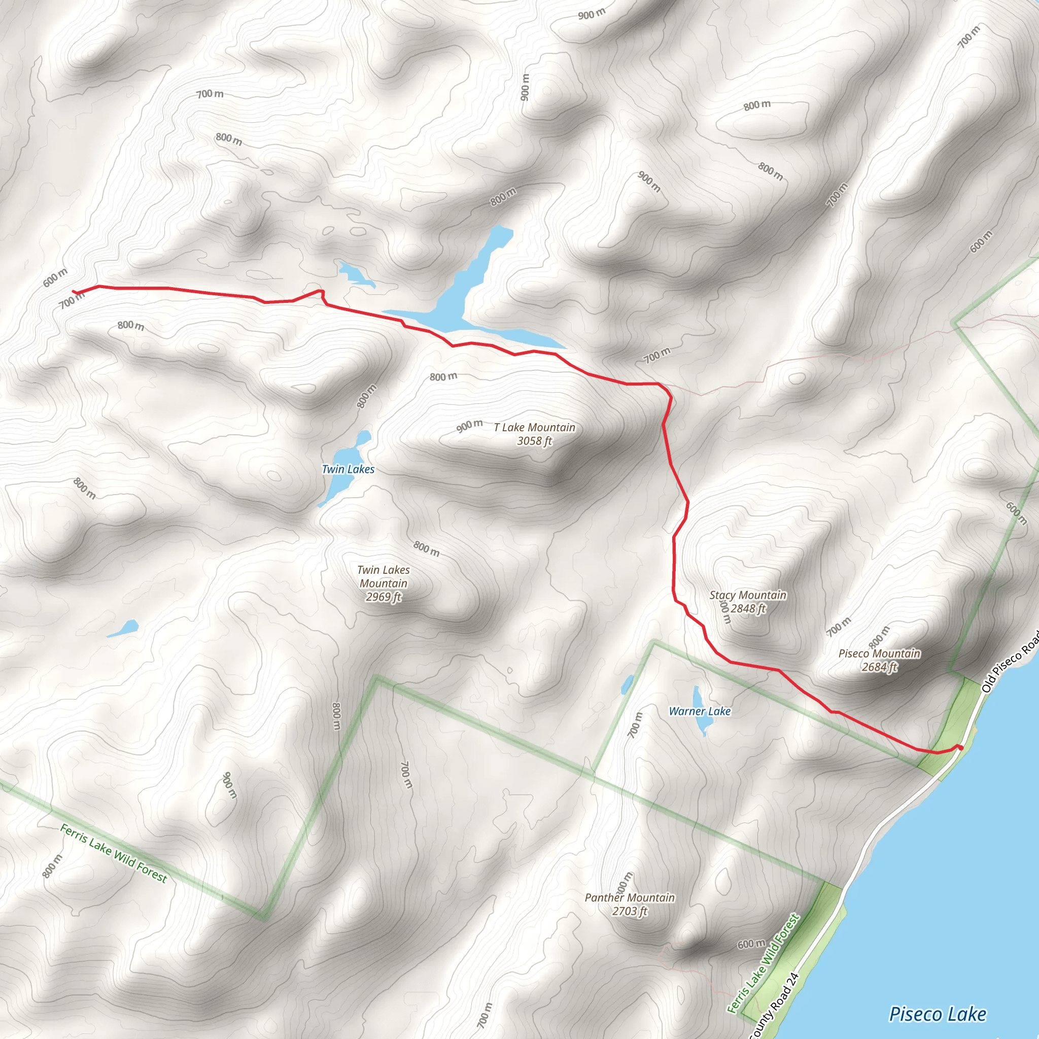 Stacy Mountain from Old Piseco Road mobile static map
