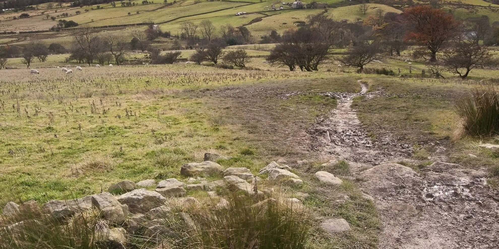 An image depicting the trail Kinder Low and Mount Famine from Hayfield and its surrounding area.