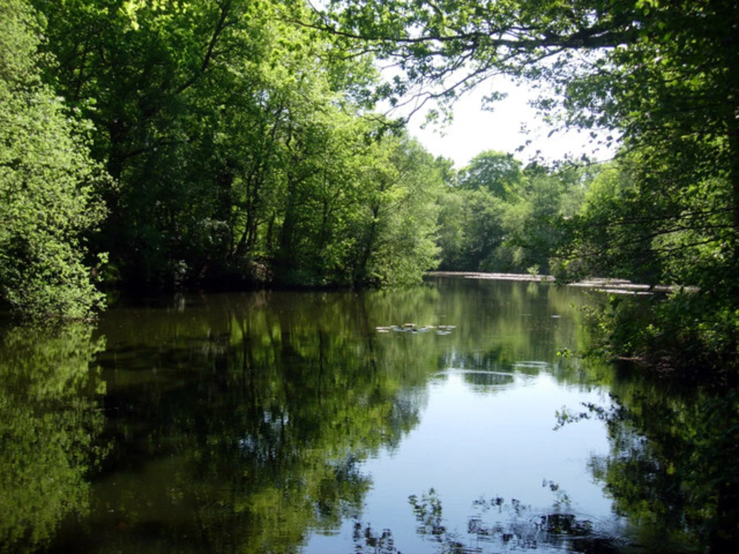 An image depicting the trail Park, Thirty Acre and Furnacebank Wood Loop from Fletching and its surrounding area.