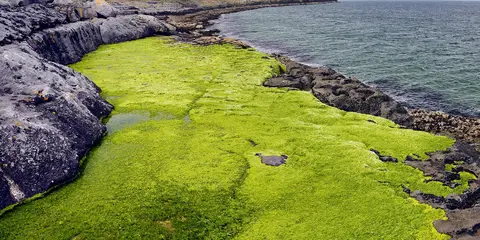 An image depicting the trail Fanore Ballyvaughan Trek and its surrounding area.