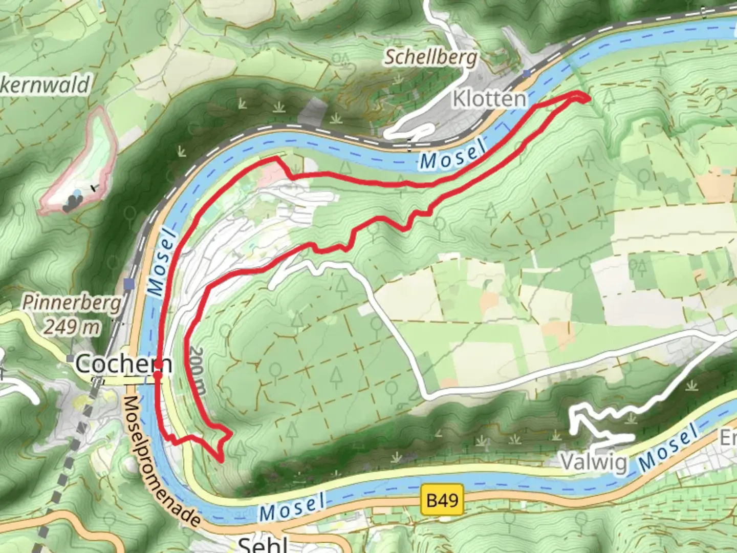 An image depicting the trail Mosel via Brauselay and its surrounding area.