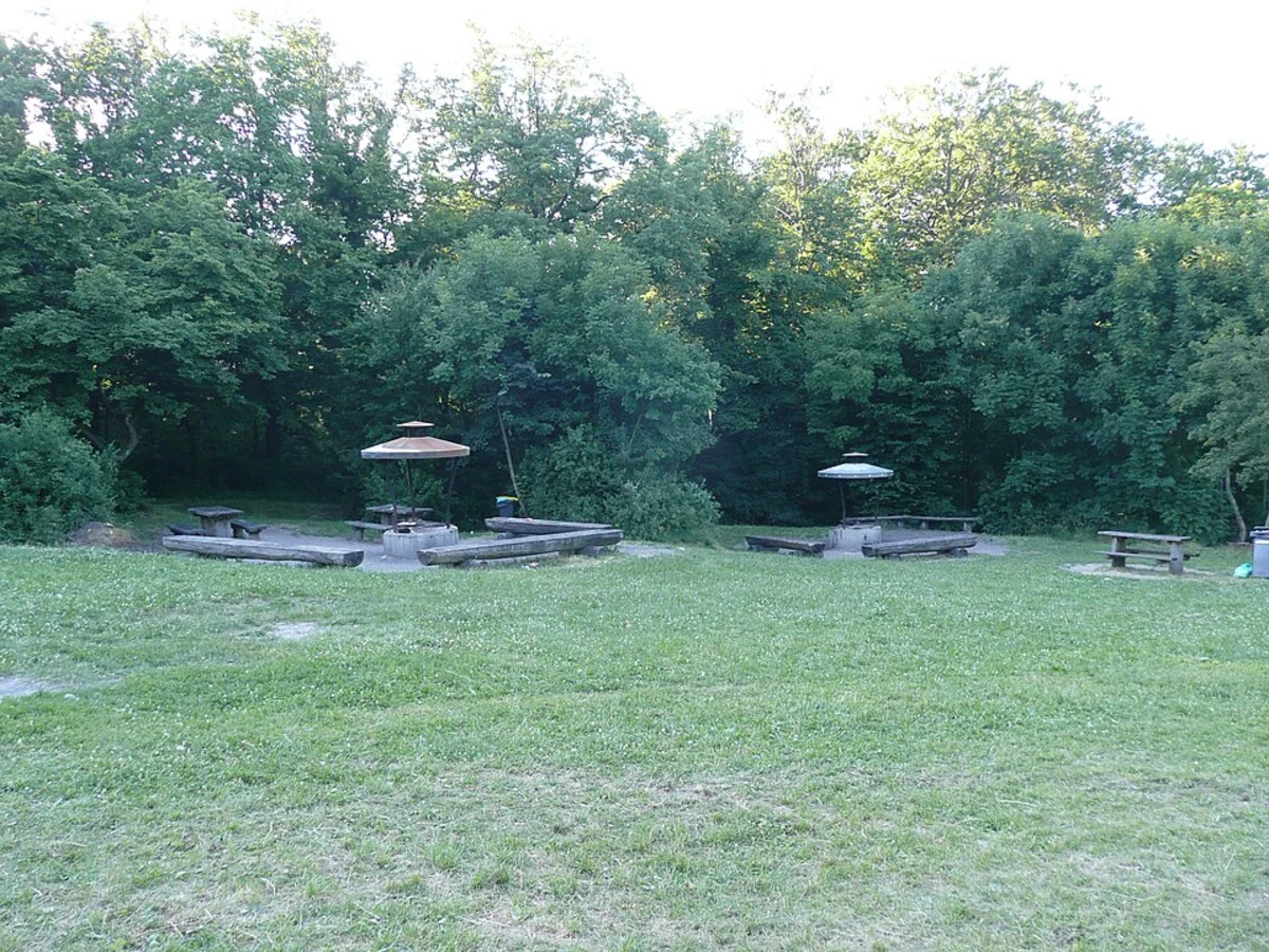 Schloss Solitude Loop