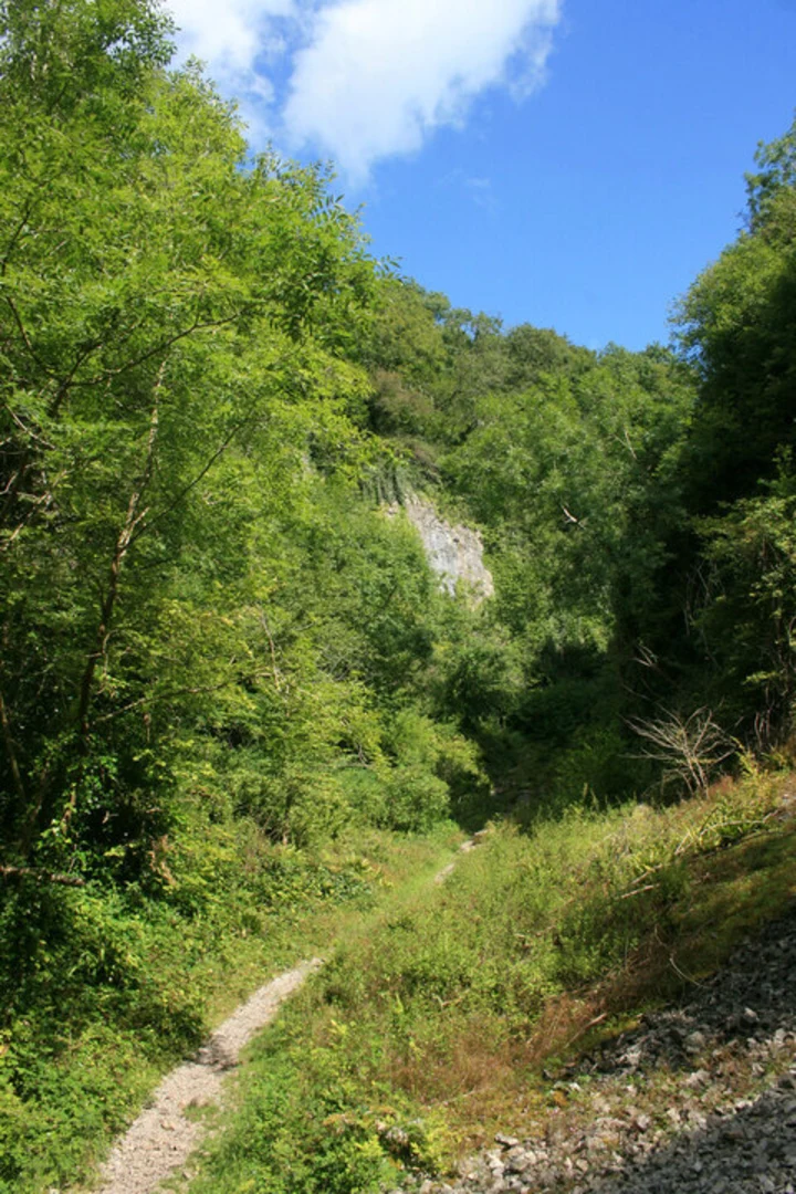 An image depicting the trail Ebbor Gorge and its surrounding area.