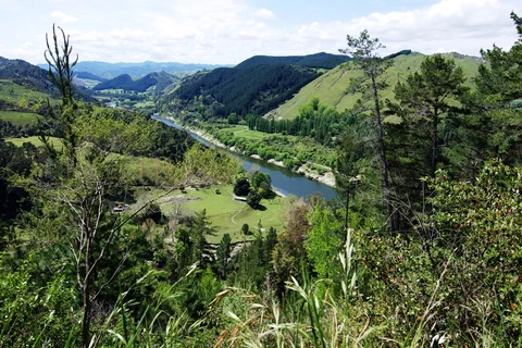 An image depicting the trail Whanganui Journey and its surrounding area.