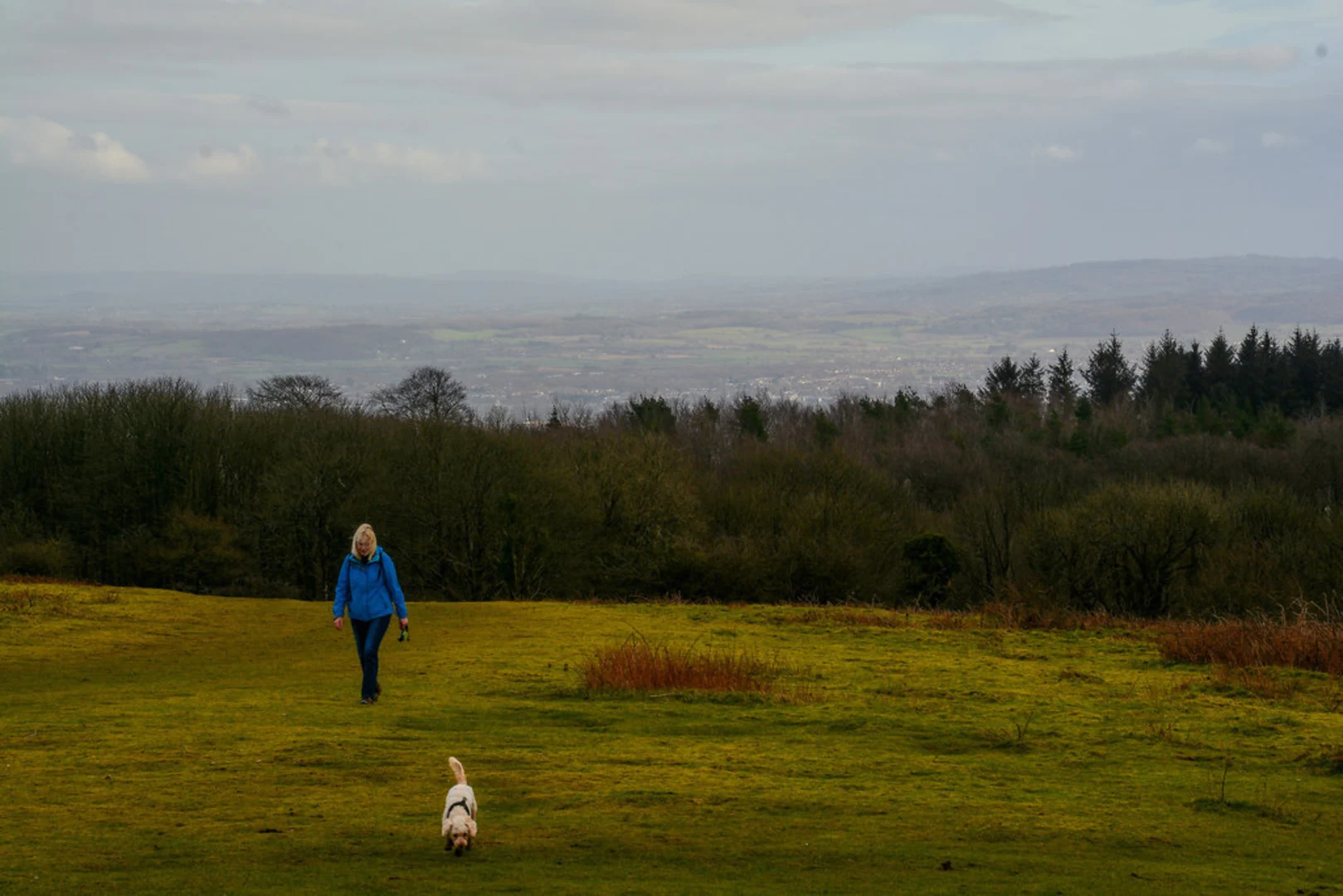 An image depicting the trail Cothelstone Hill and its surrounding area.