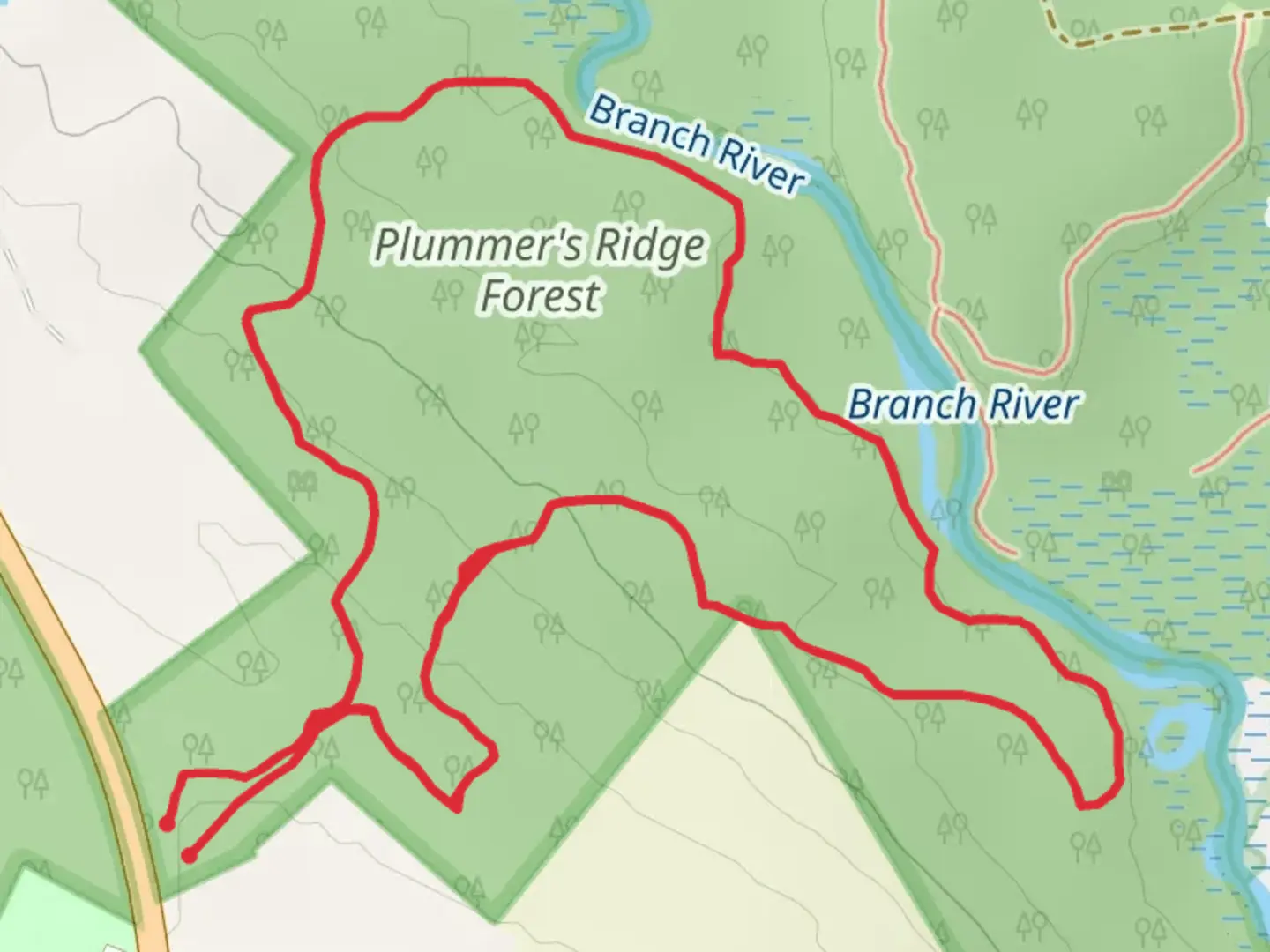 An image depicting the trail Branch River Loop and its surrounding area.