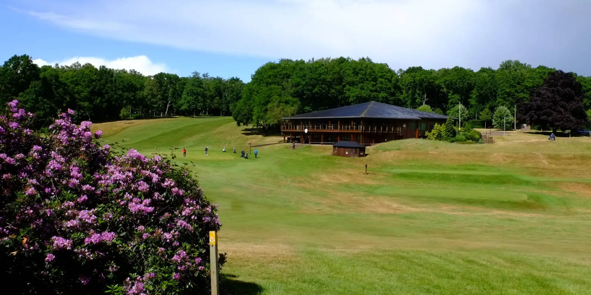An image depicting the trail Ashridge Estate Circular and its surrounding area.