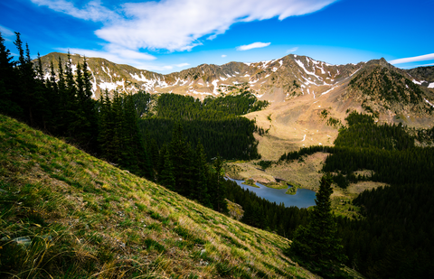 An image depicting the trail Williams Lake Trail and its surrounding area.