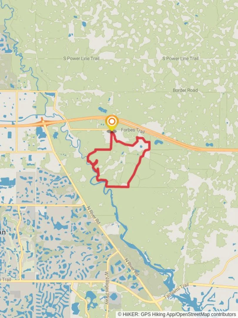 An image depicting the trail Loop along Myakka River and its surrounding area.