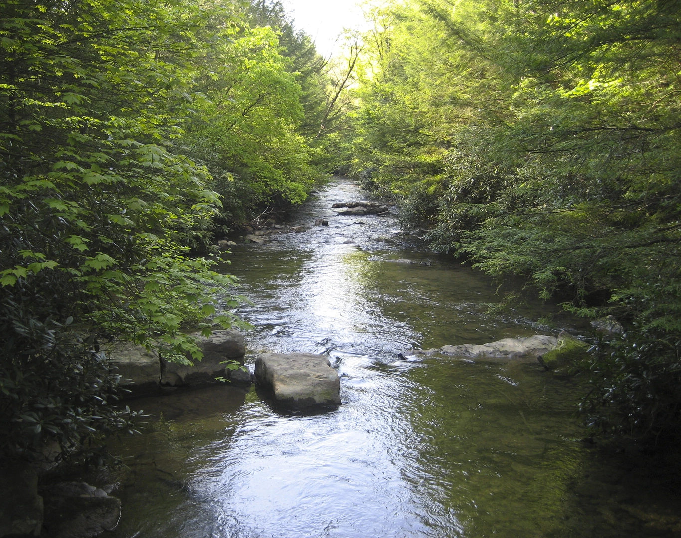 An image depicting the trail Miller and Hess Trail Loop and its surrounding area.