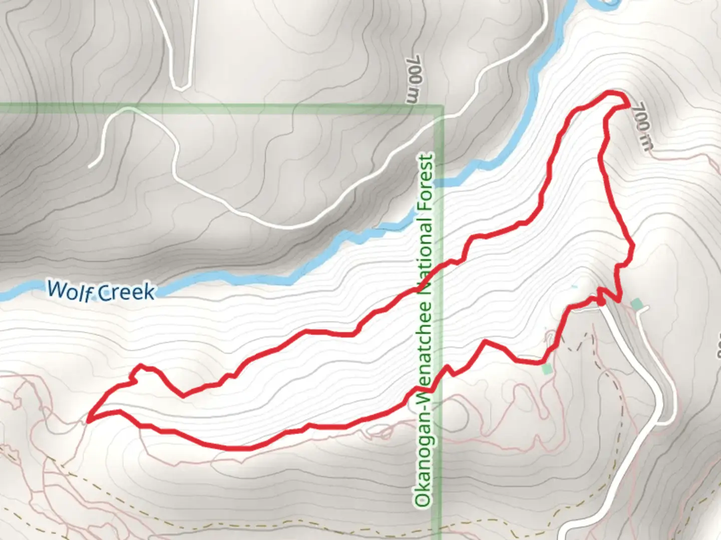 An image depicting the trail Moose, Black Bear and Kraule Loop and its surrounding area.