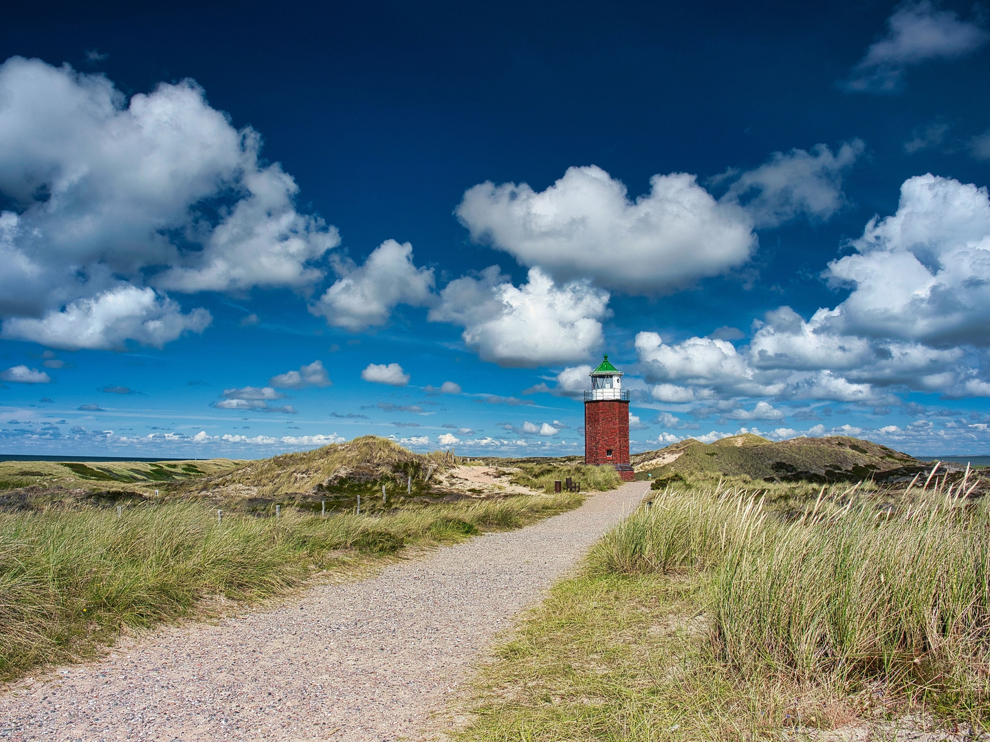 An image depicting the trail Kampereiland Loop and its surrounding area.