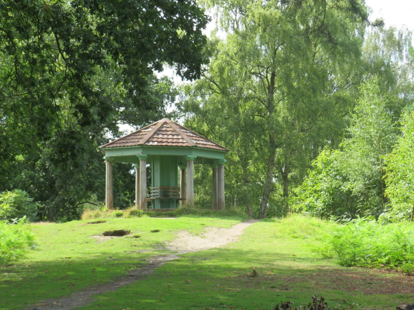 An image depicting the trail Wotton Common, Hovelfield Copse and Redlands Wood Loop and its surrounding area.