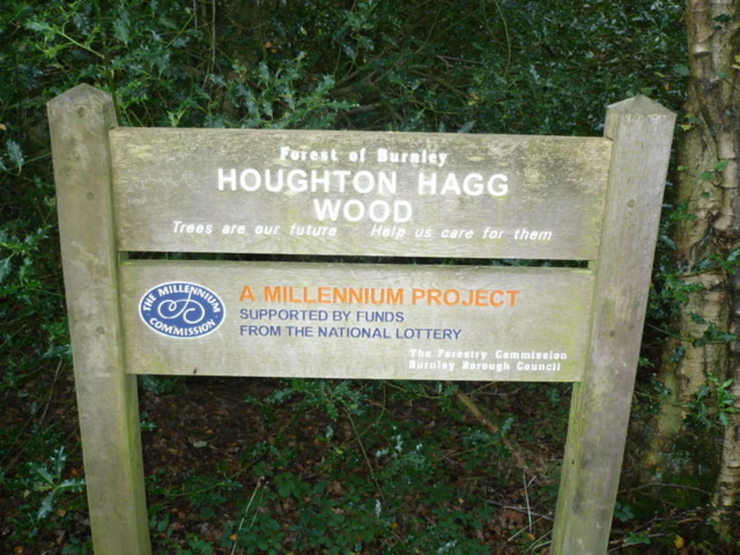 An image depicting the trail Hagg Wood Loop and its surrounding area.