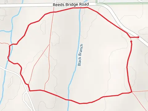 Reeds Bridge Road Loop - West