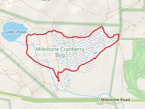 Gibbs Swamp Loop Trail