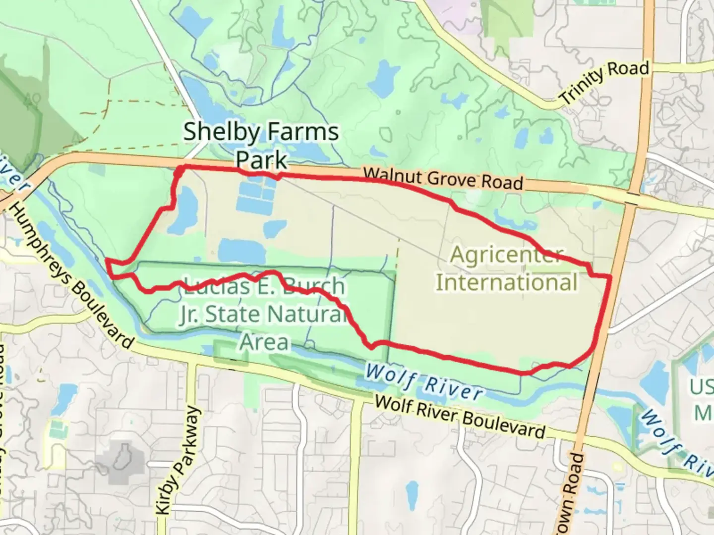 An image depicting the trail Wolf River Trail Blue Long Loop and its surrounding area.