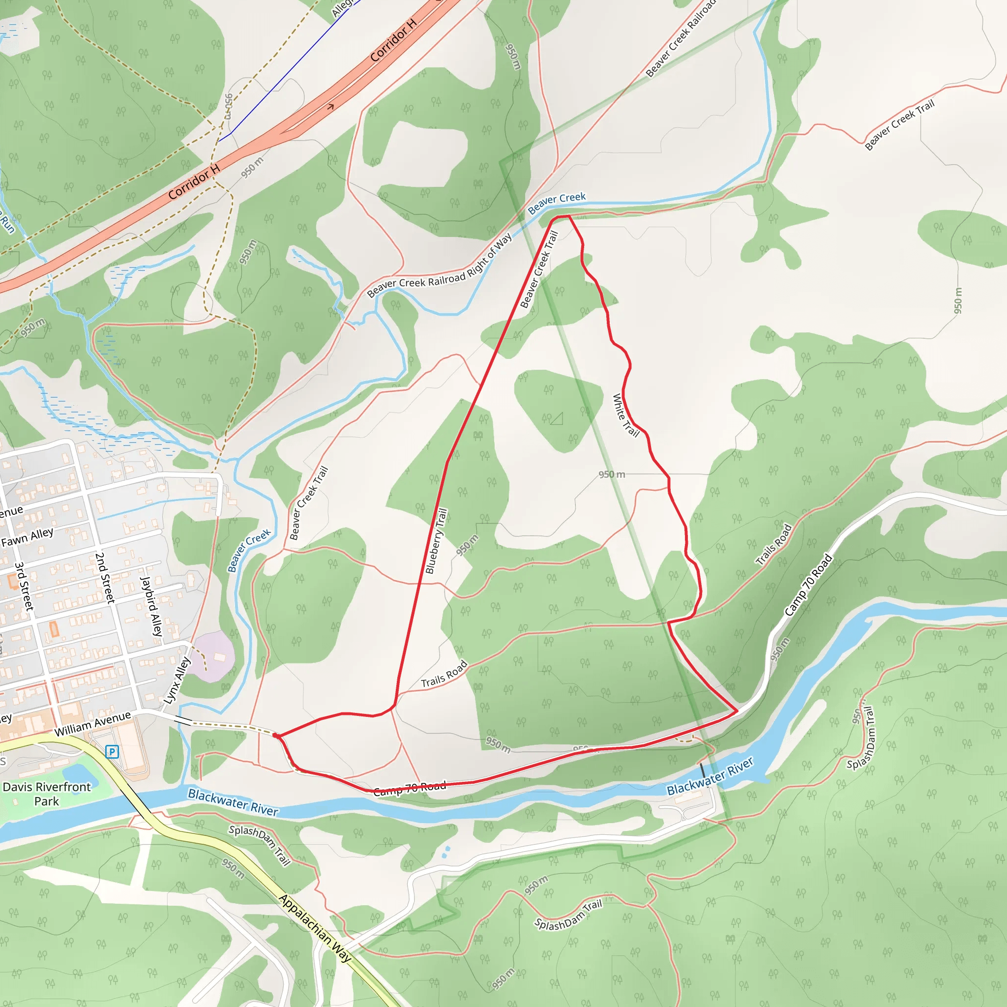 Blueberry Trail and White Trail Loop mobile static map