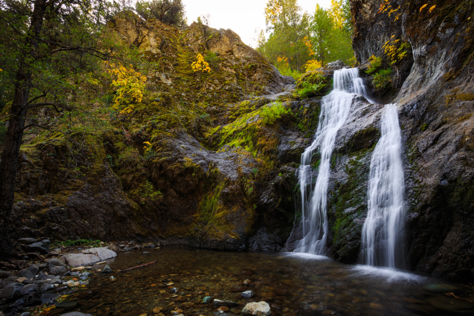 An image depicting the trail Ney Springs and Faery Falls Trail and its surrounding area.