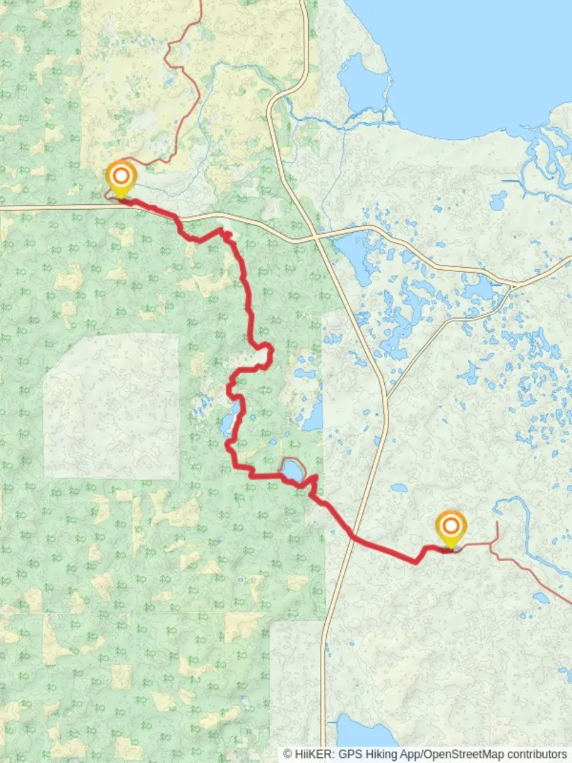 An image depicting the trail Florida Trail from Alexander Springs and its surrounding area.