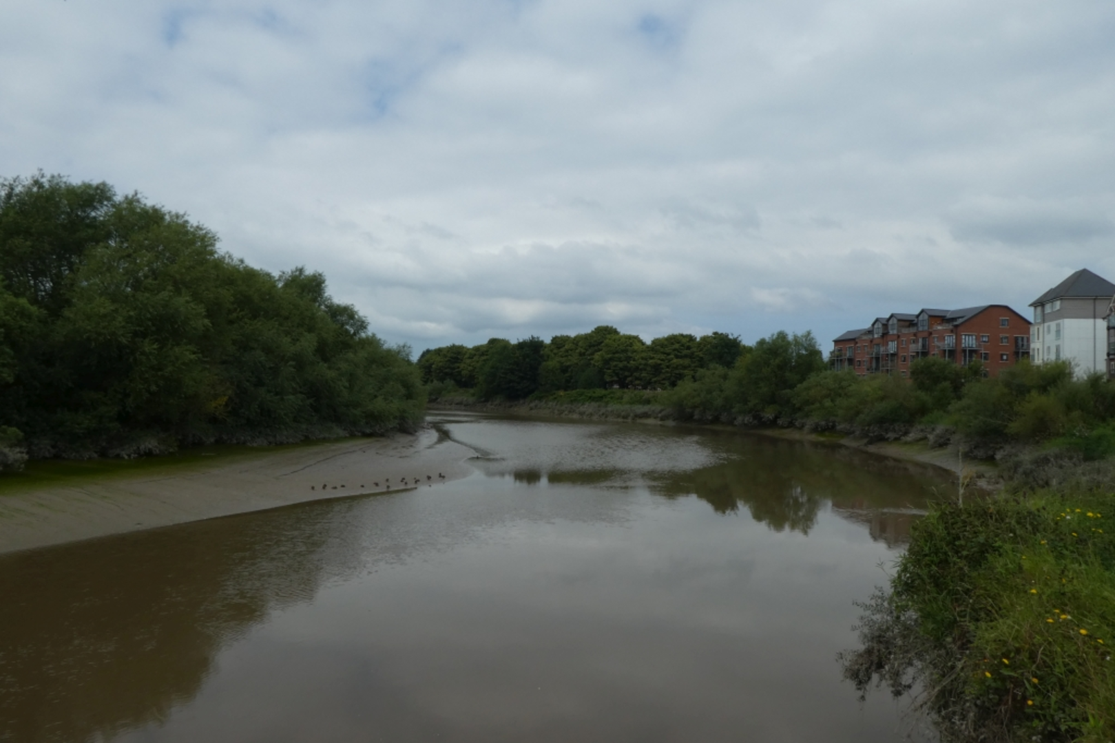 An image depicting the trail River Dee and Chester Loop and its surrounding area.