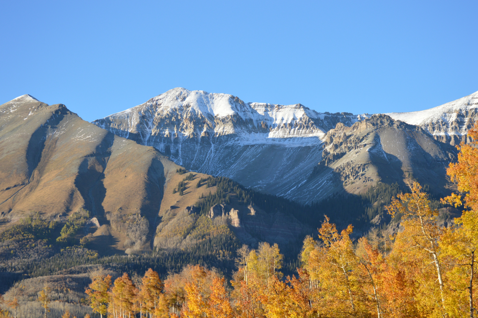 An image depicting the trail Mineral Creek Trail and its surrounding area.