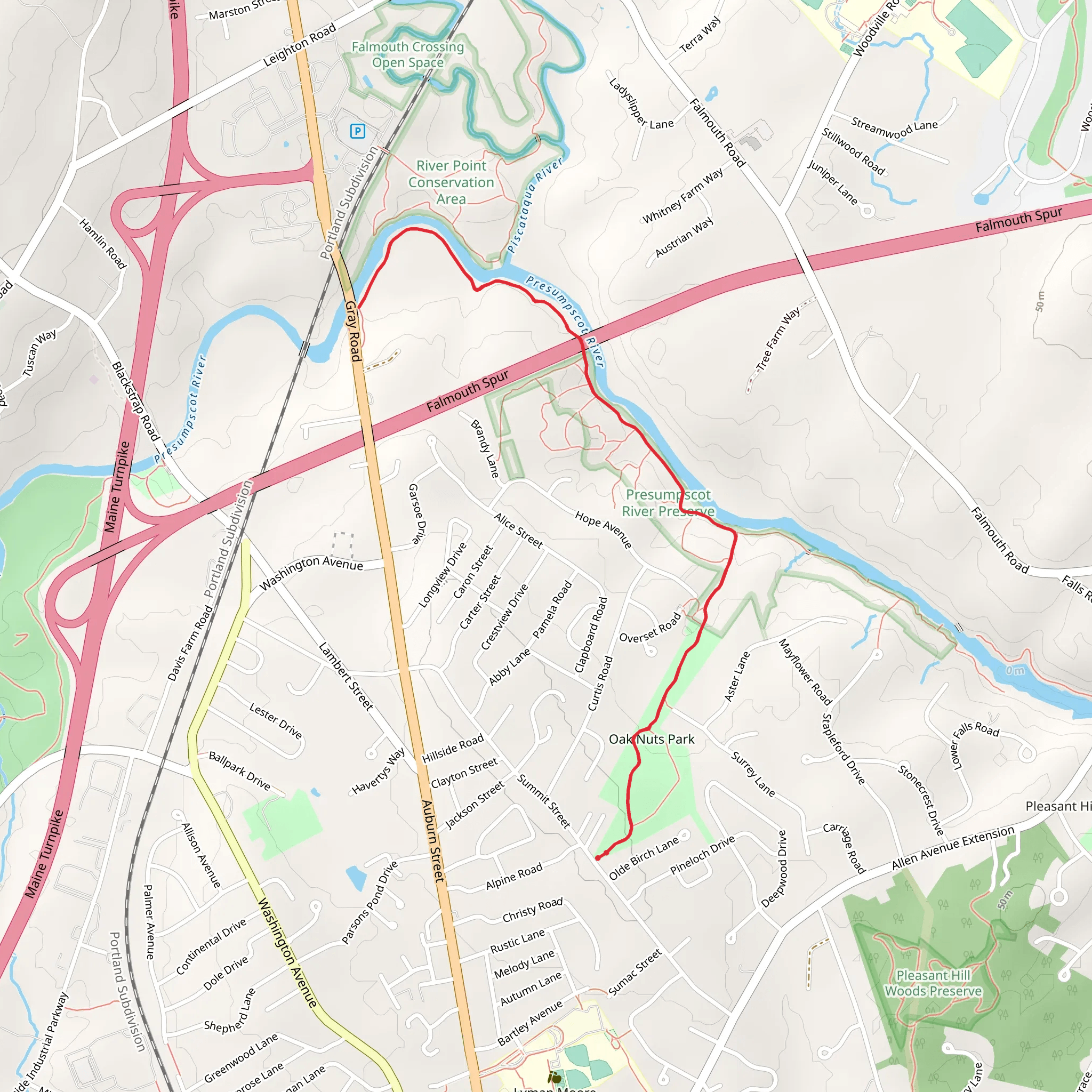 Presumpscot River from Summit Street mobile static map