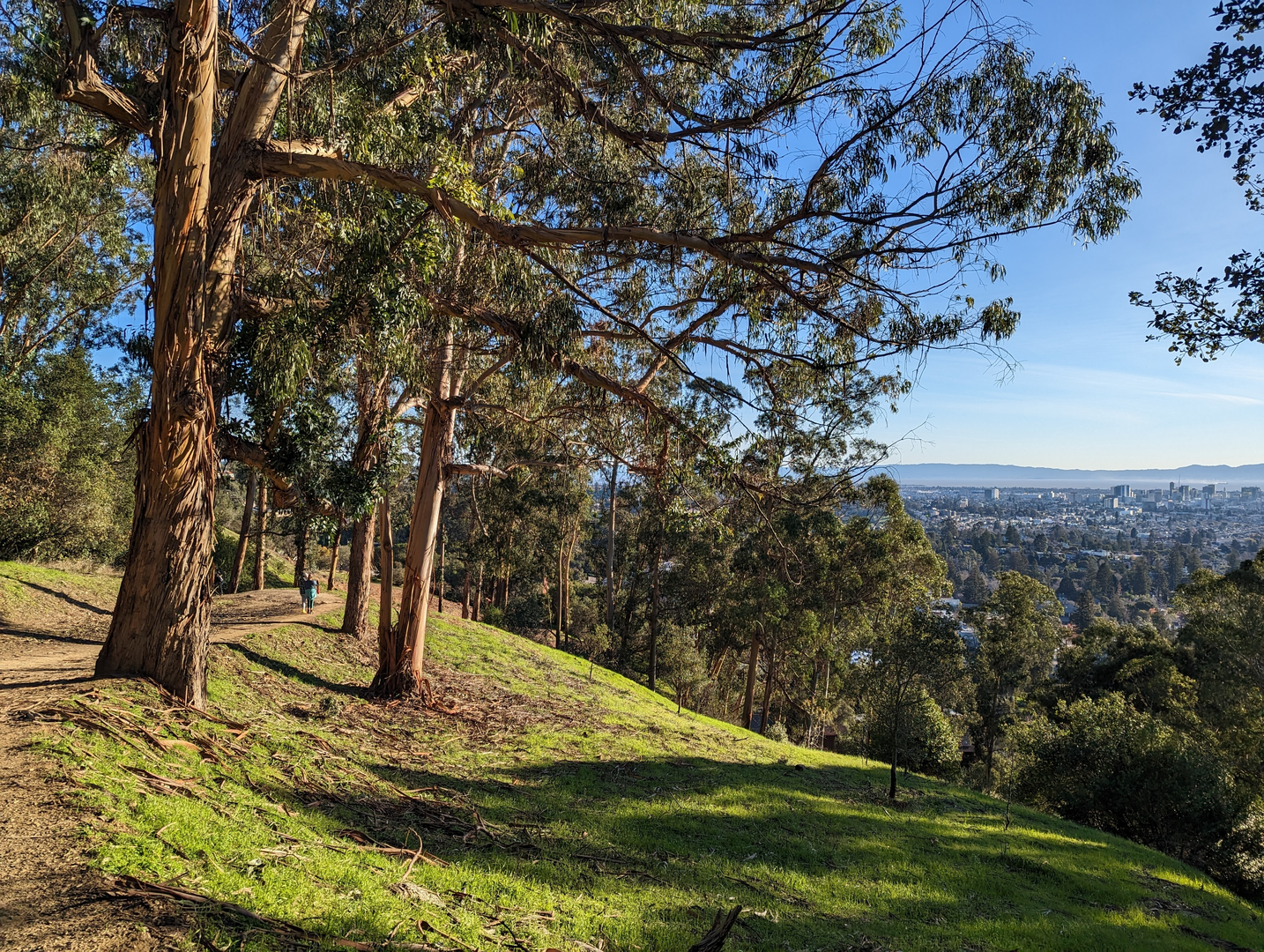 An image depicting the trail Stonewall-Panoramic, Convict and Upper Jordan Fire Loop Trail and its surrounding area.