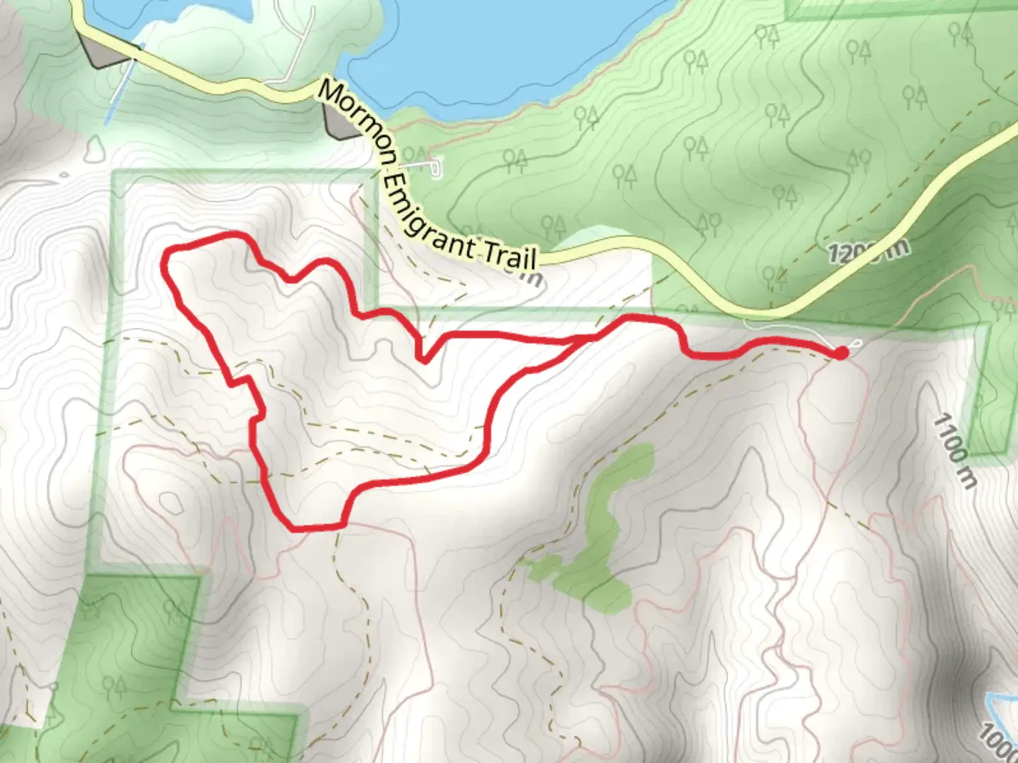An image depicting the trail Trail 8 Loop from Bonetti Road and its surrounding area.