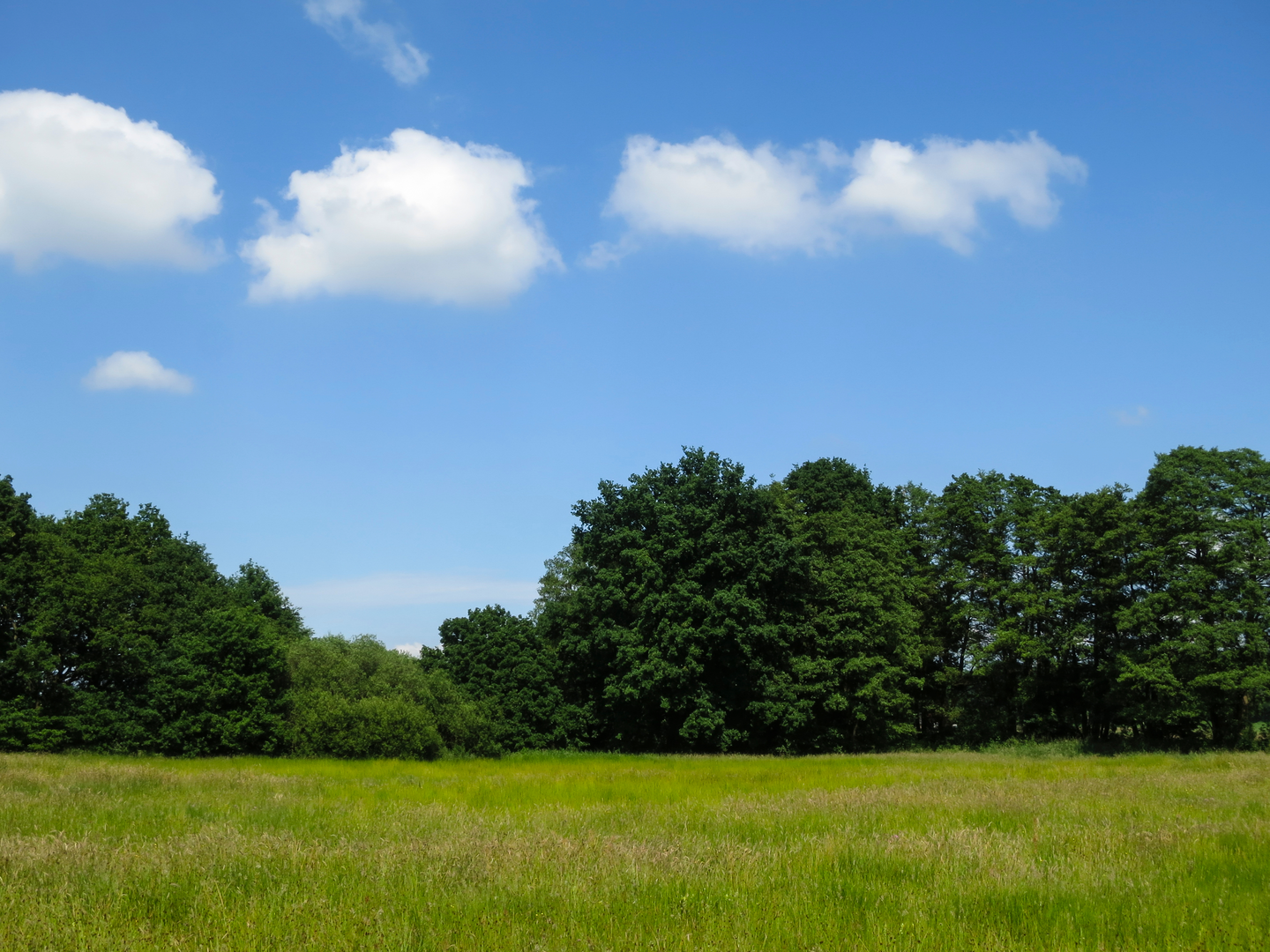 An image depicting the trail Leuth to Plasmolen via Wylerbergmeer, Duivelsberg and Ruine Romeinse Villa and its surrounding area.