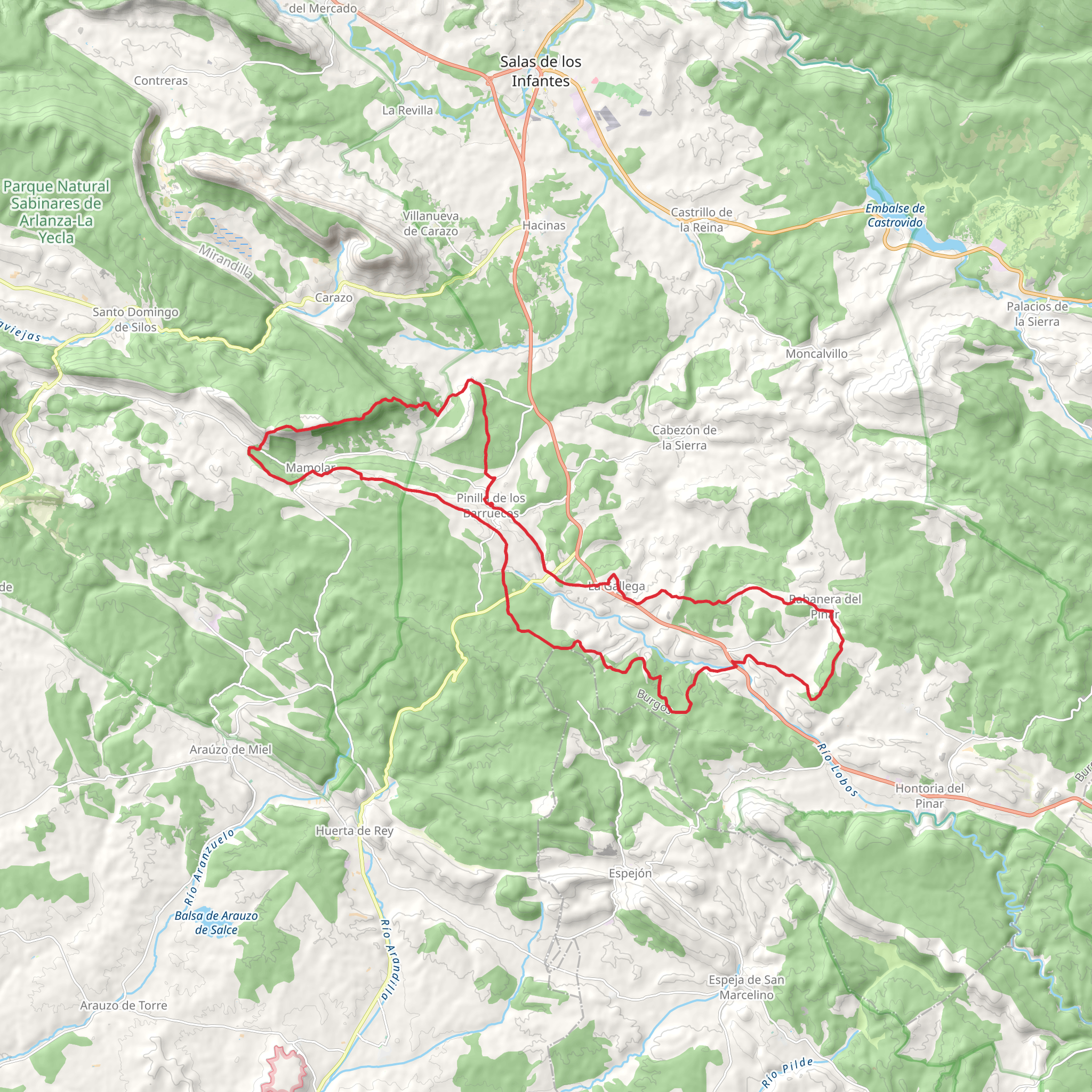 Sources of the Lobos River PR BU 223 mobile static map