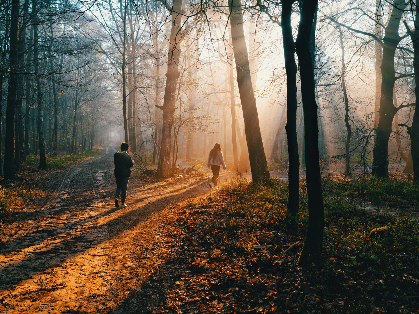 An image depicting the trail Staverden, Kasteel Staverden and De Zwarte Boer and its surrounding area.