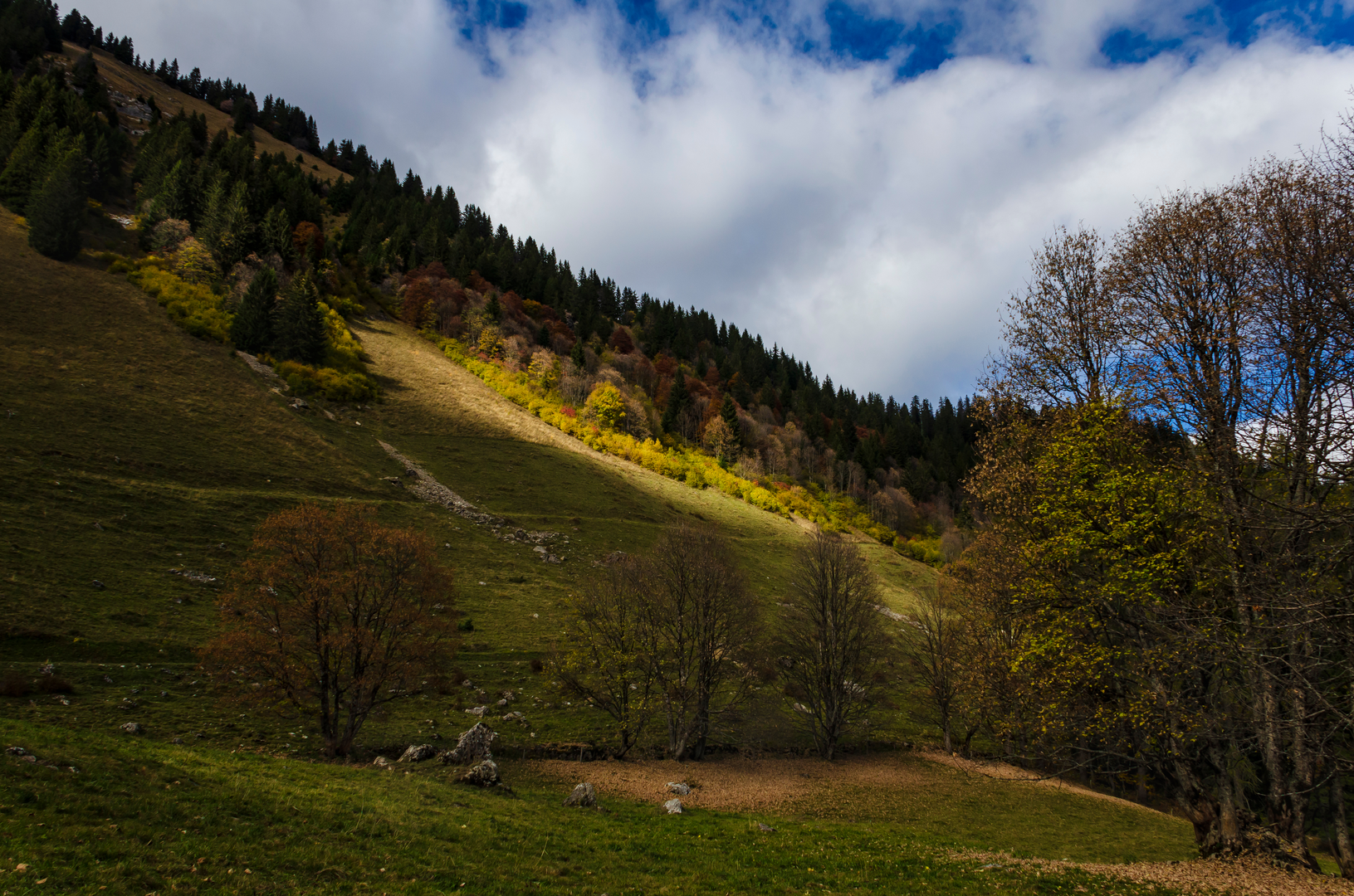 An image depicting the trail Tour des Portes du Soleil and its surrounding area.