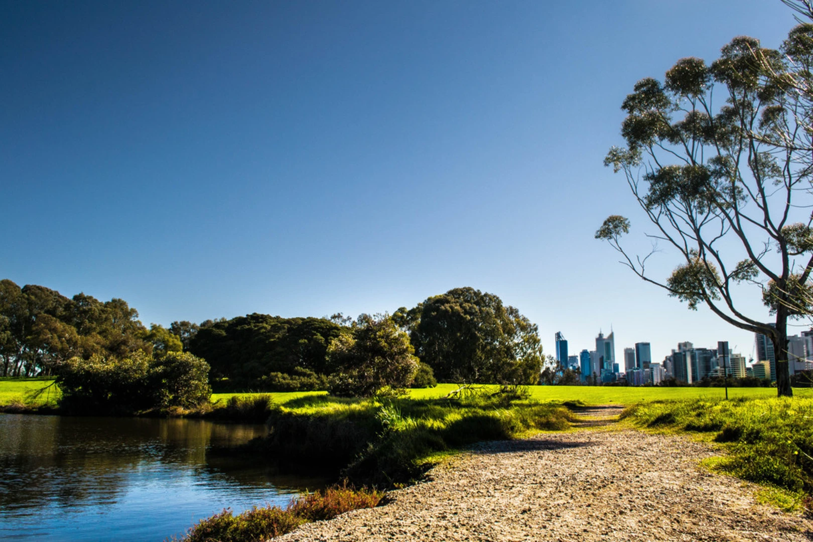 An image depicting the trail Windan Bridge Loop and its surrounding area.