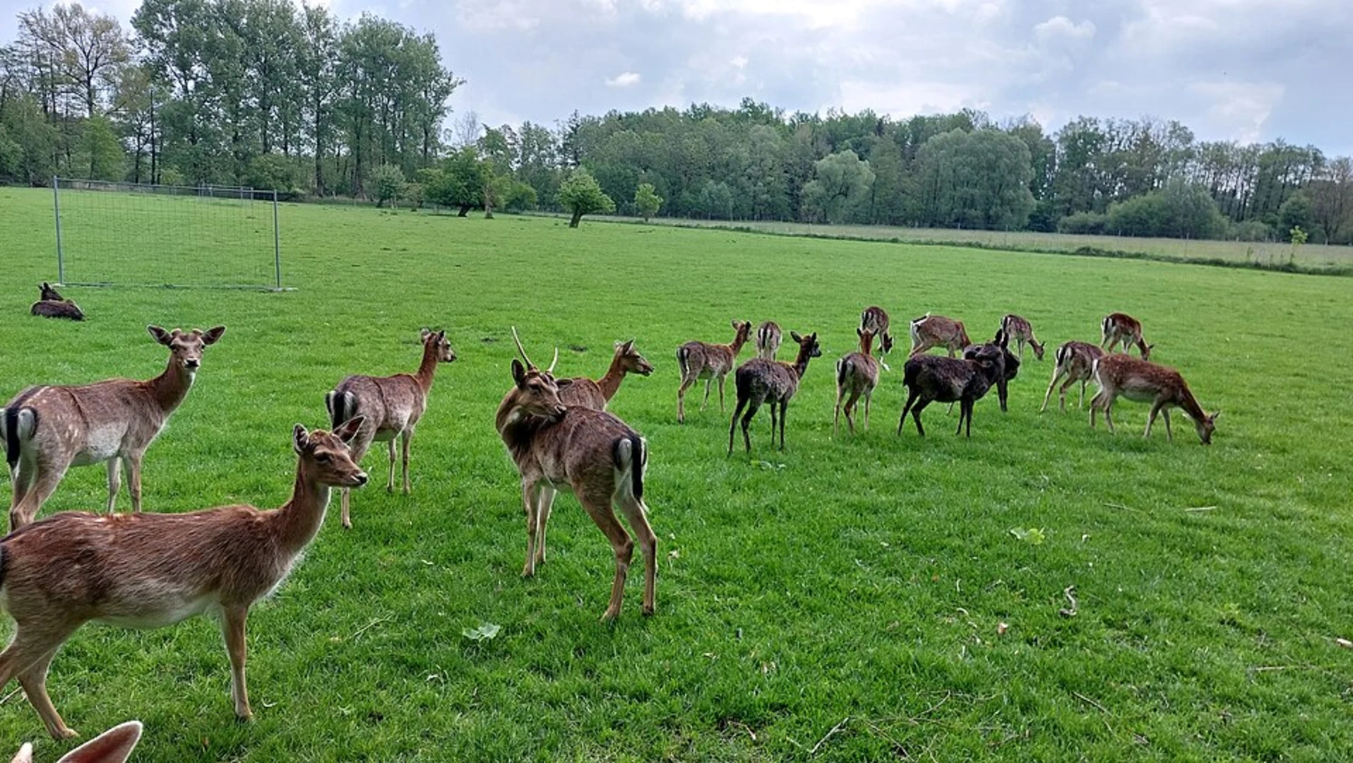 An image depicting the trail Keeseckweg and its surrounding area.