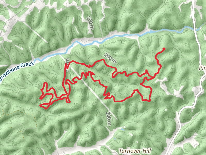 Laurel Woods Loop Trail