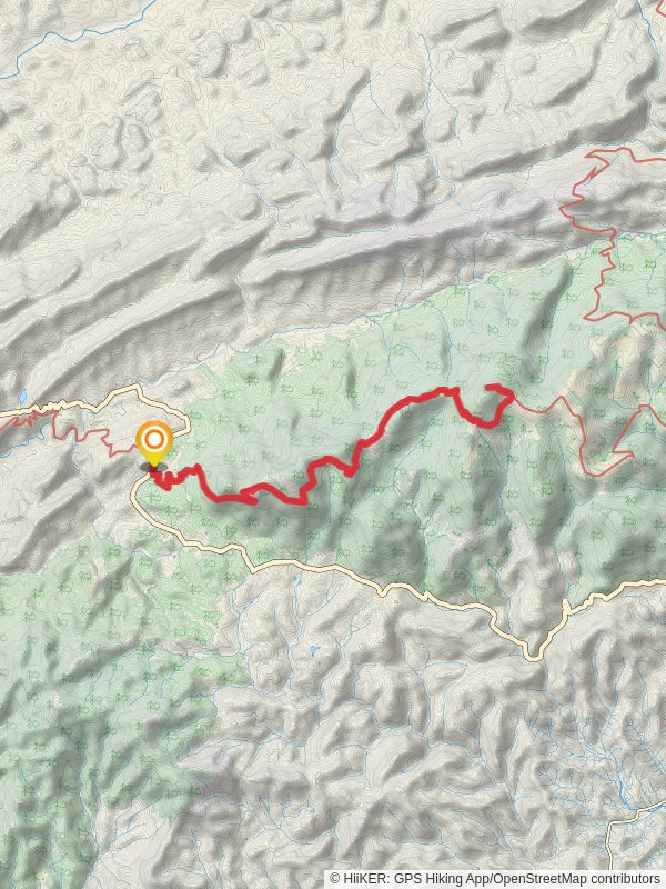 Mountain Rogers via Appalachian Trail from Jeb Stuart Highway