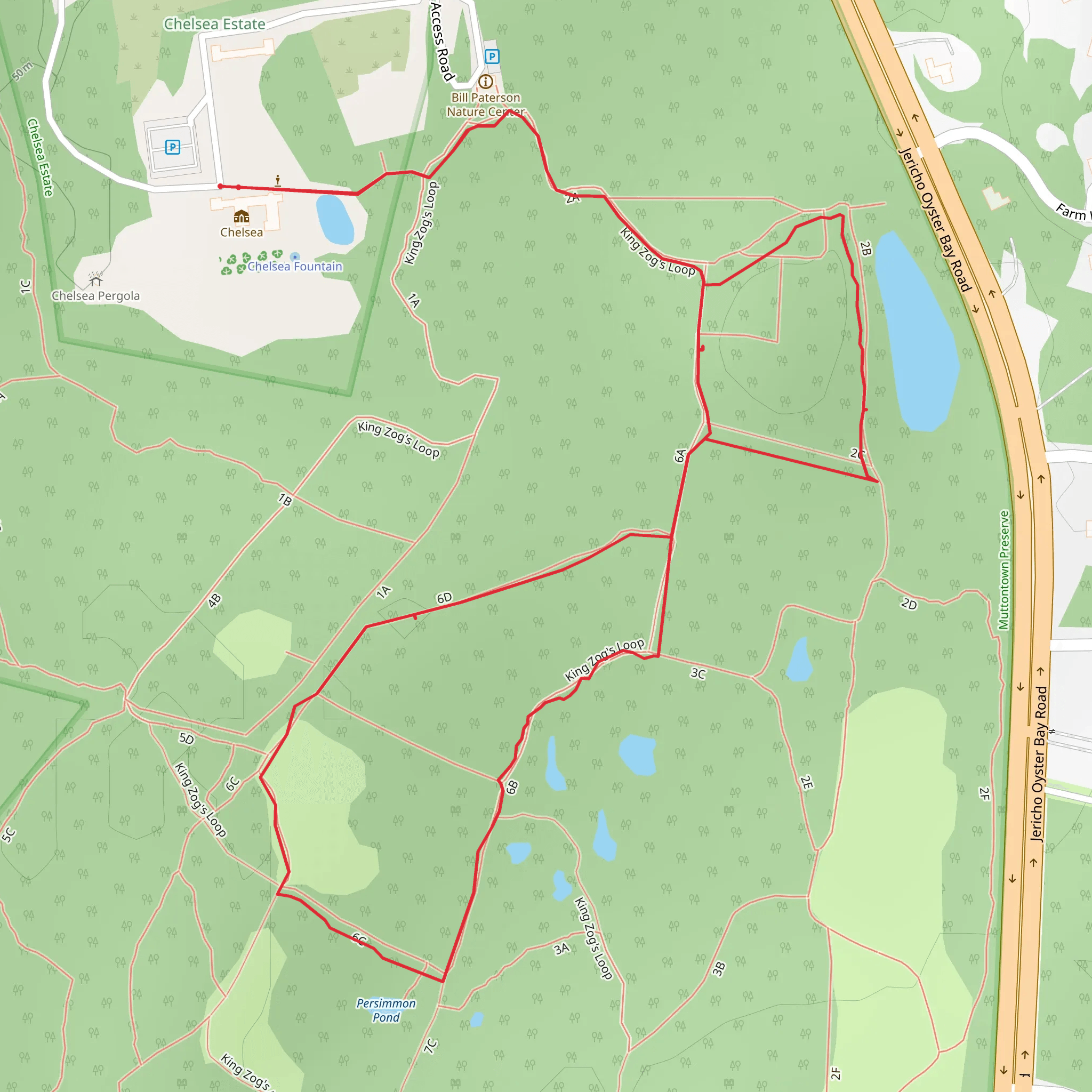 King Zog's Loop Trail mobile static map