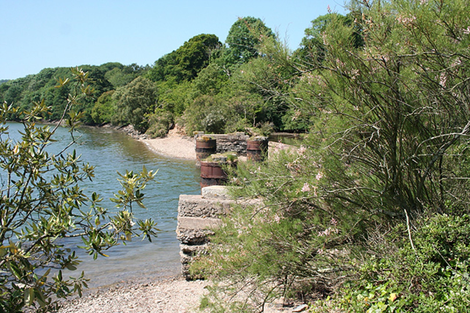 An image depicting the trail Brixton Circular Walk and its surrounding area.