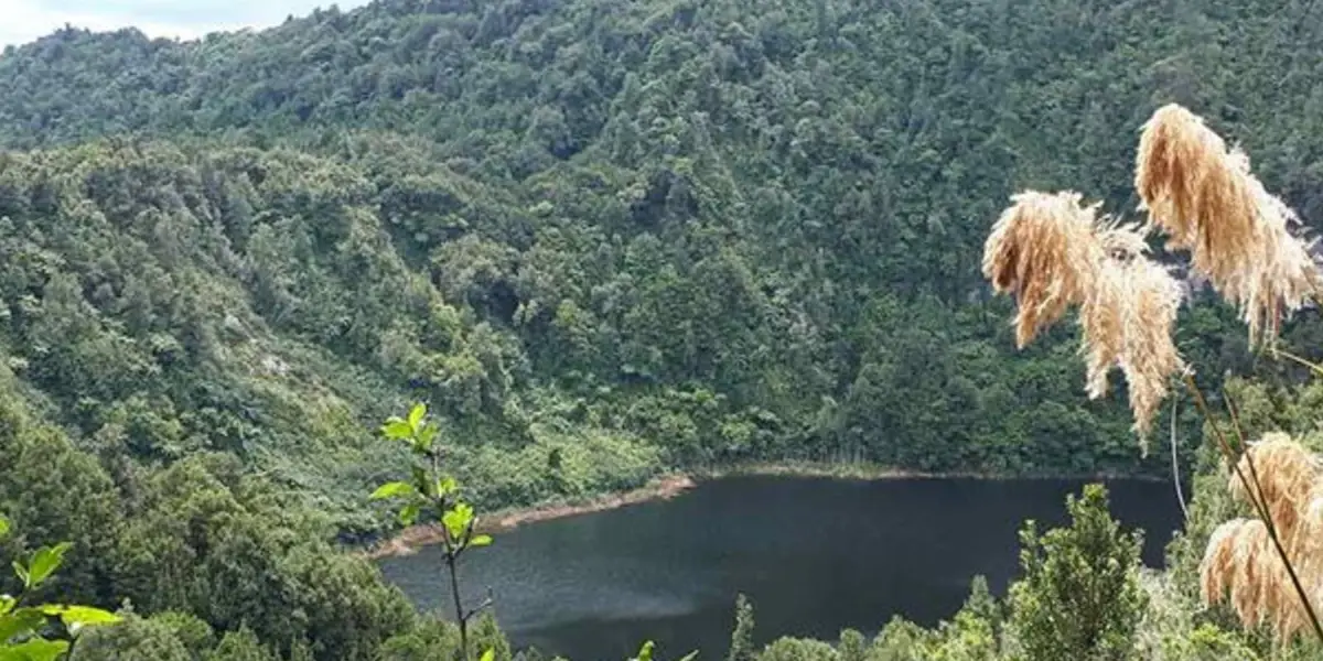 Lake Ōkataina - Kepa Track