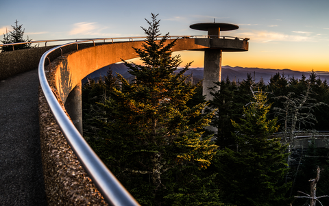 An image depicting the trail Clingmans Dome Observation Tower Trail and its surrounding area.