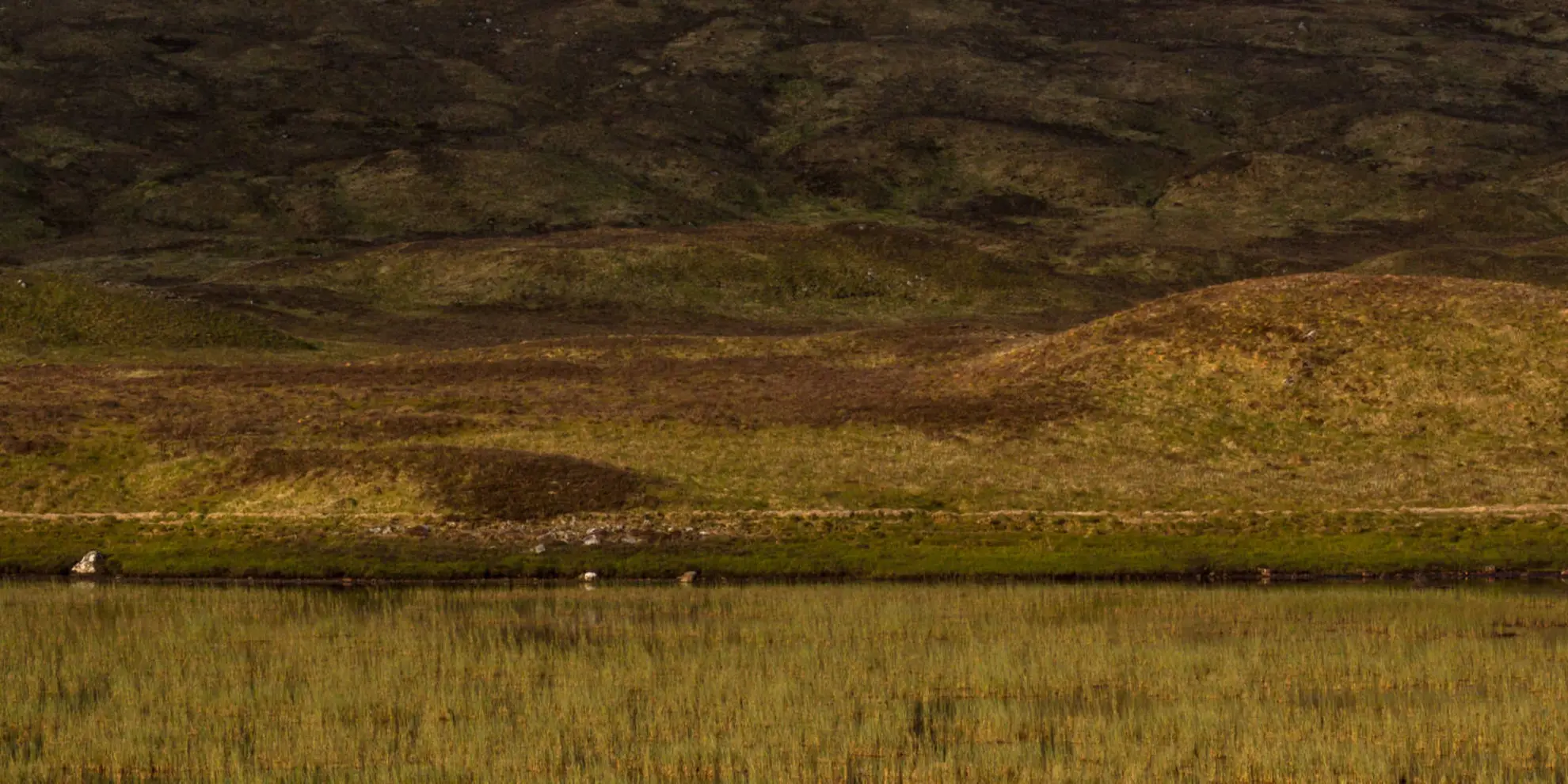 An image depicting the trail Beinn Dorain from Bridge of Orchy and its surrounding area.