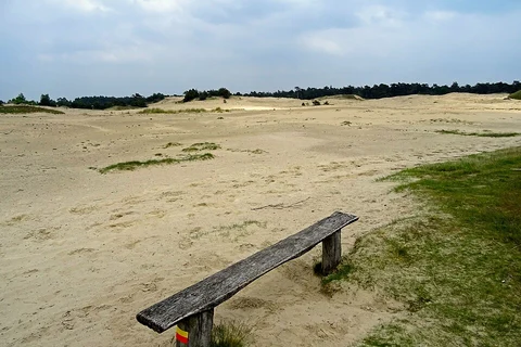 Hulshorsterzand, Tafelberg and t Witte Zand Loop