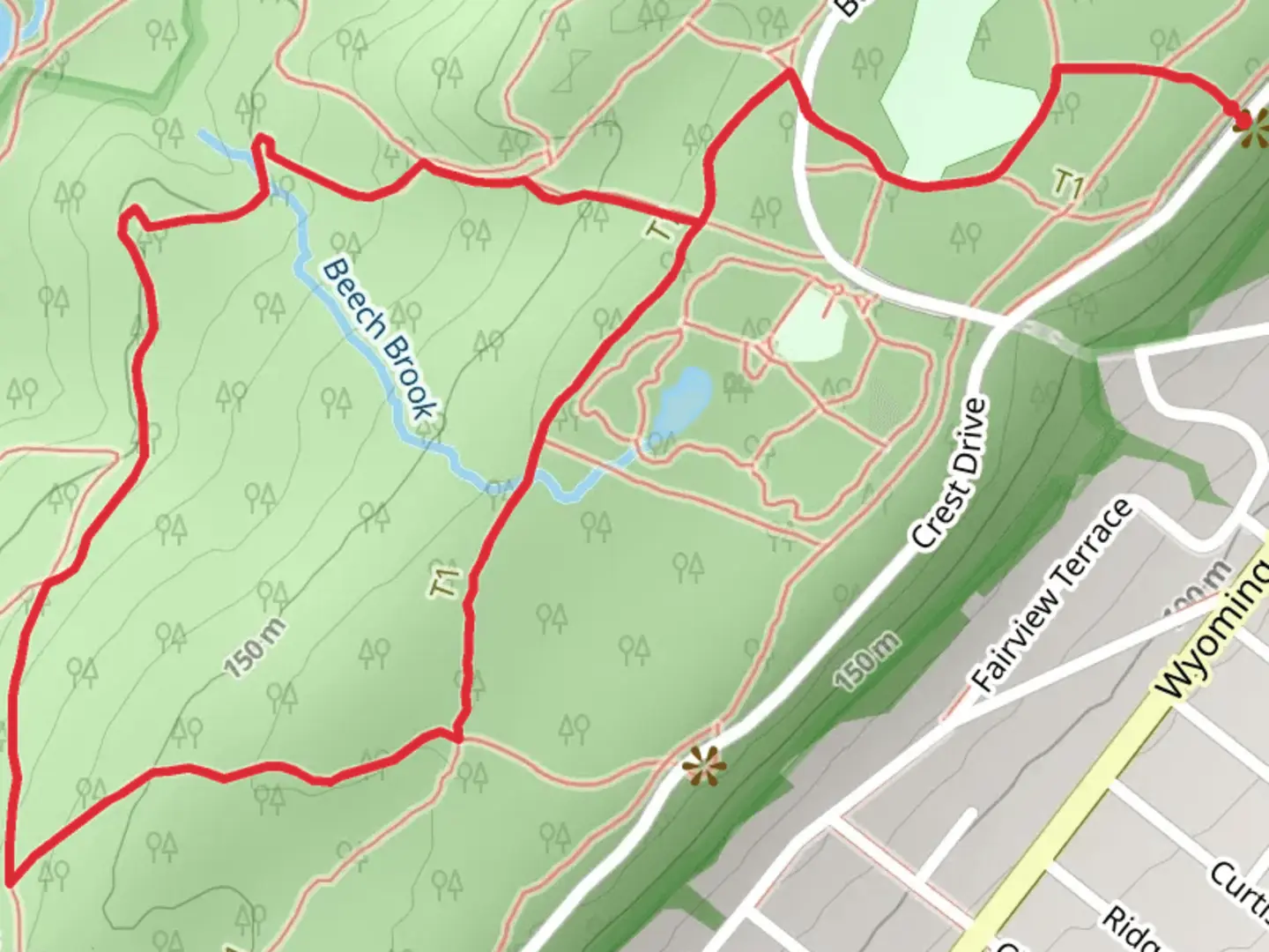 An image depicting the trail Swampy and Lenape Loop Trail and its surrounding area.