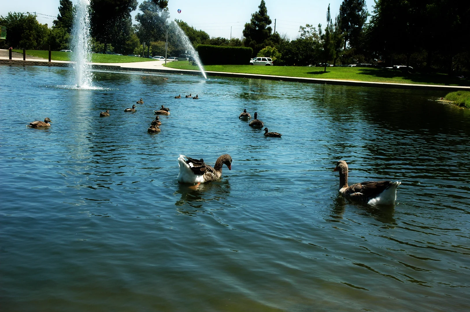 An image depicting the trail Downey Lake Trail and its surrounding area.