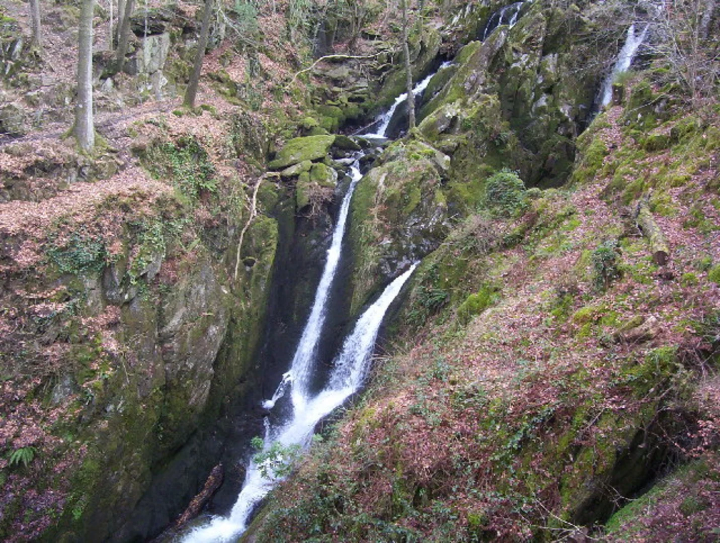 An image depicting the trail Stock Ghyll Force Waterfall and Borrans Park Loop and its surrounding area.