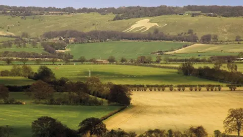An image depicting the trail Icknield Way Trail and its surrounding area.