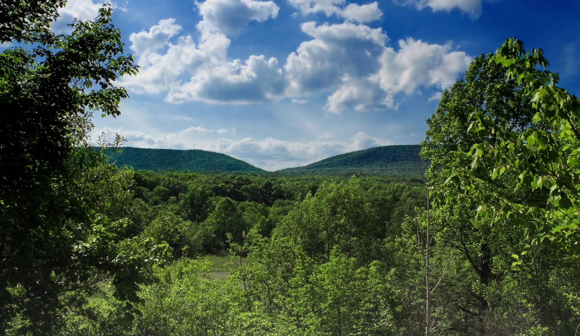 An image depicting the trail Plainfield Township Recreational Trail and its surrounding area.