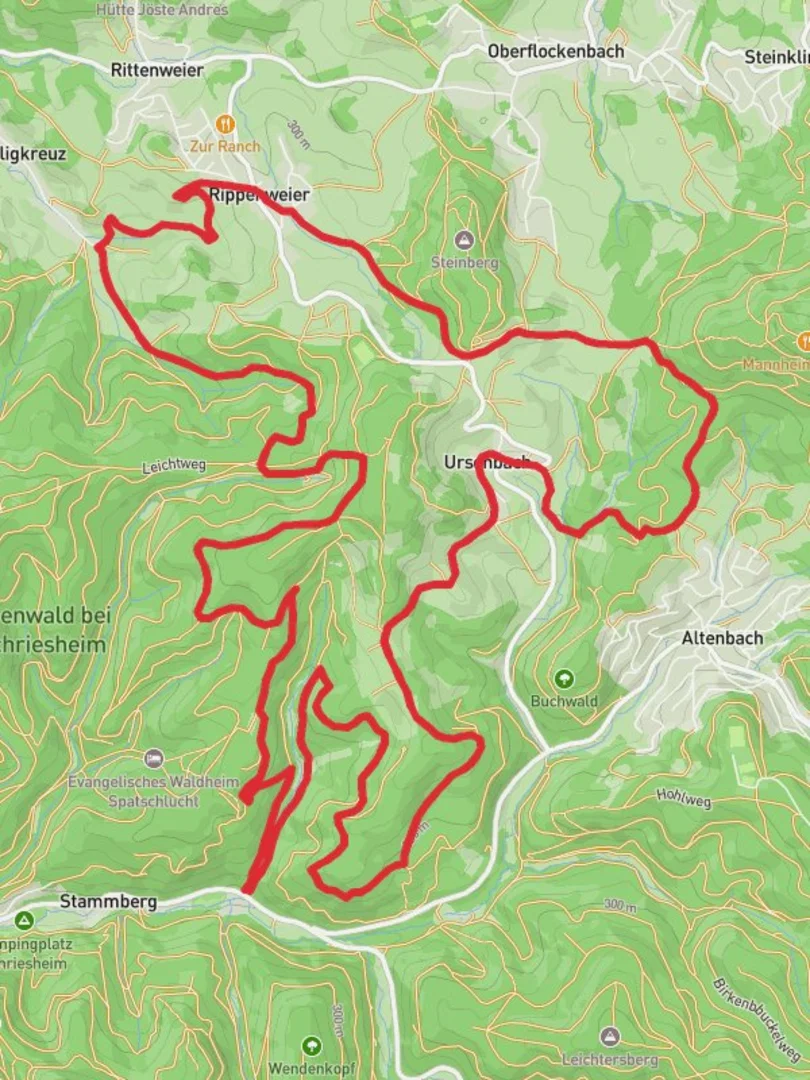 An image depicting the trail Schafpferch Alter and Hohert Loop and its surrounding area.